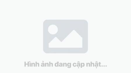Chính sách thanh toán
